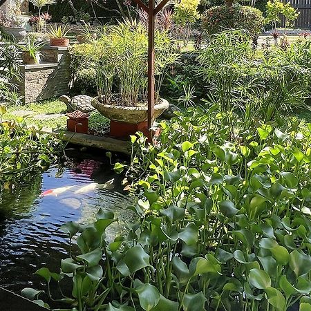 Villa Anjing Нуса-Дуа Экстерьер фото